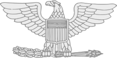 United States Army Colonel (O-6) rank insignia